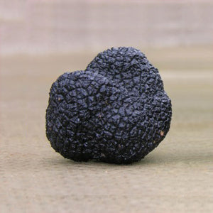 Fresh Irish Autumn Truffles (Tuber Uncinatum)
