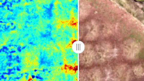 Flying Over Fungi: How Drone's Are Helping Us Detect Truffle Brûlés