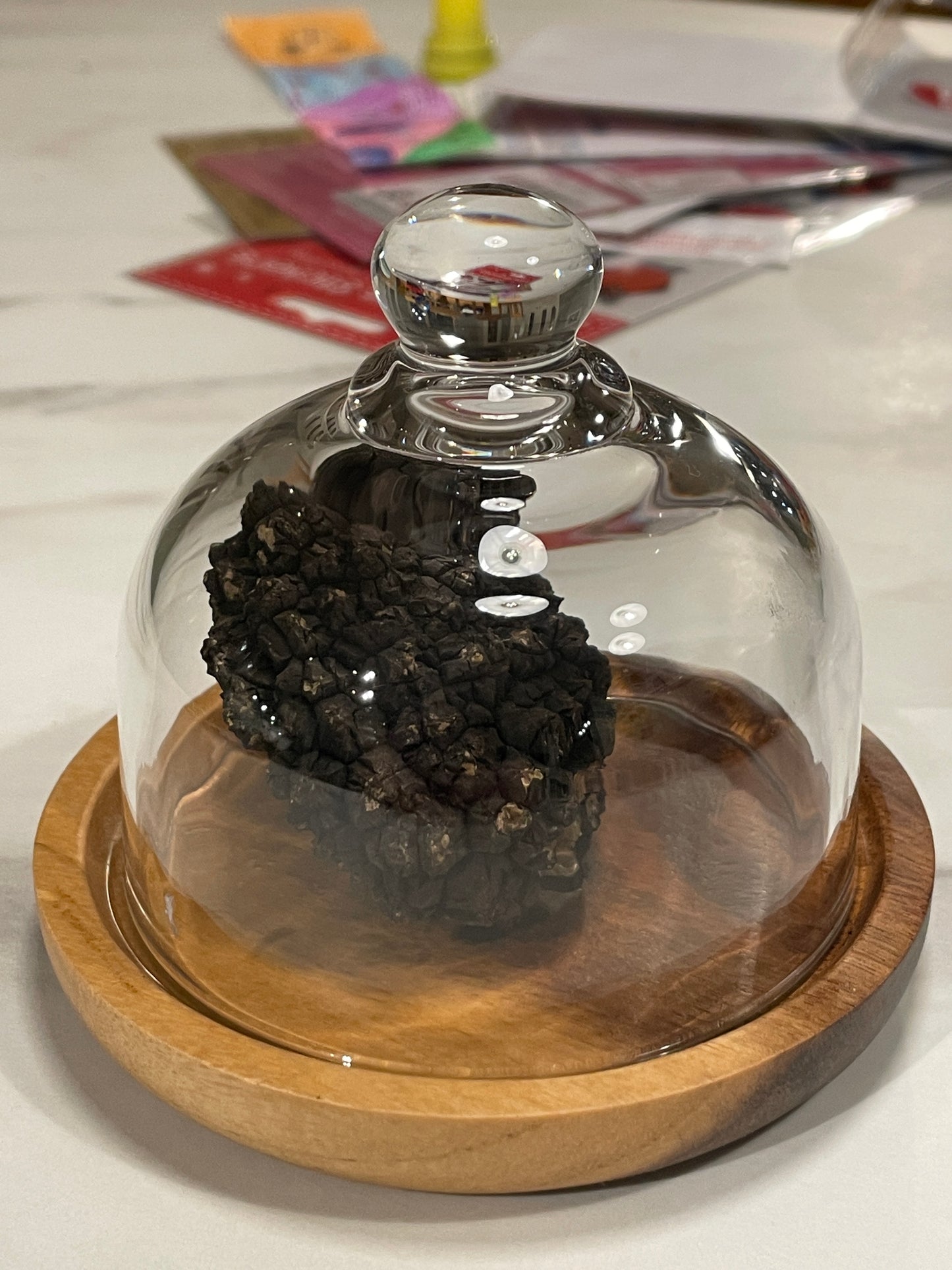 Glass Cloche