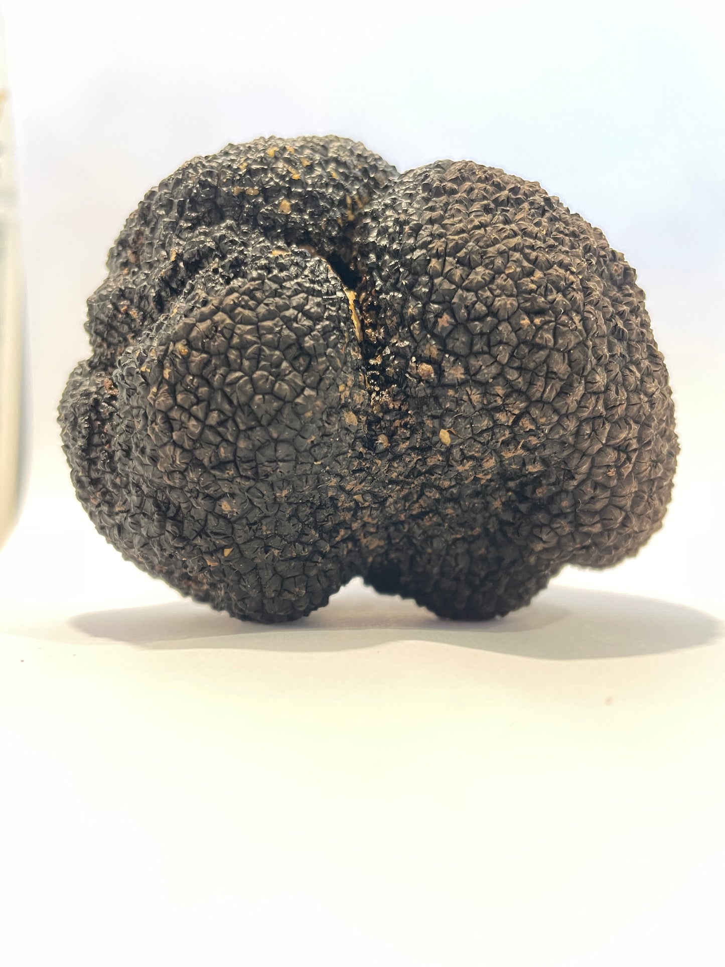 Fresh Irish Summer Truffles (Tuber Aestivum)
