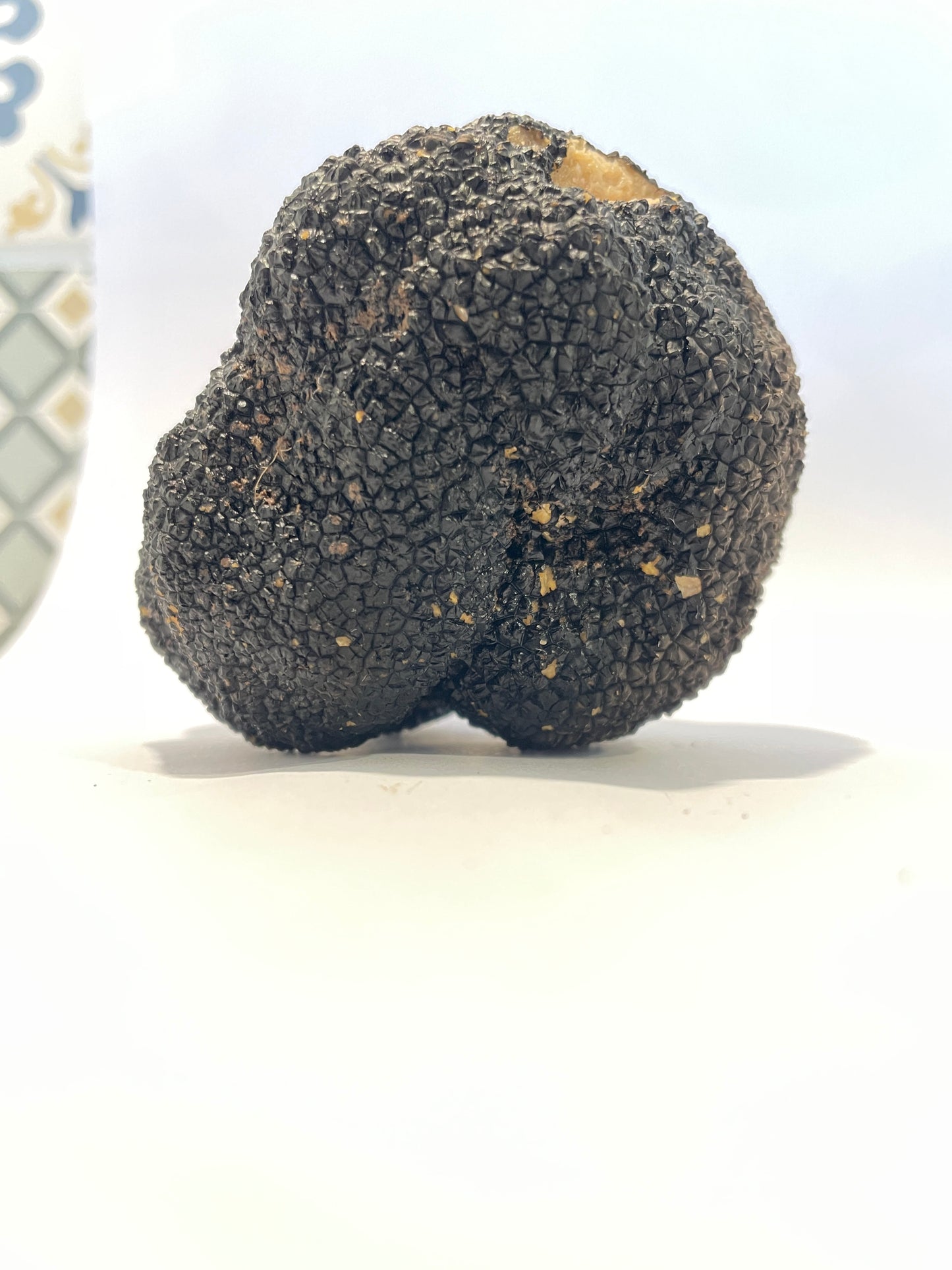 Fresh Irish Autumn Truffles (Tuber Uncinatum)