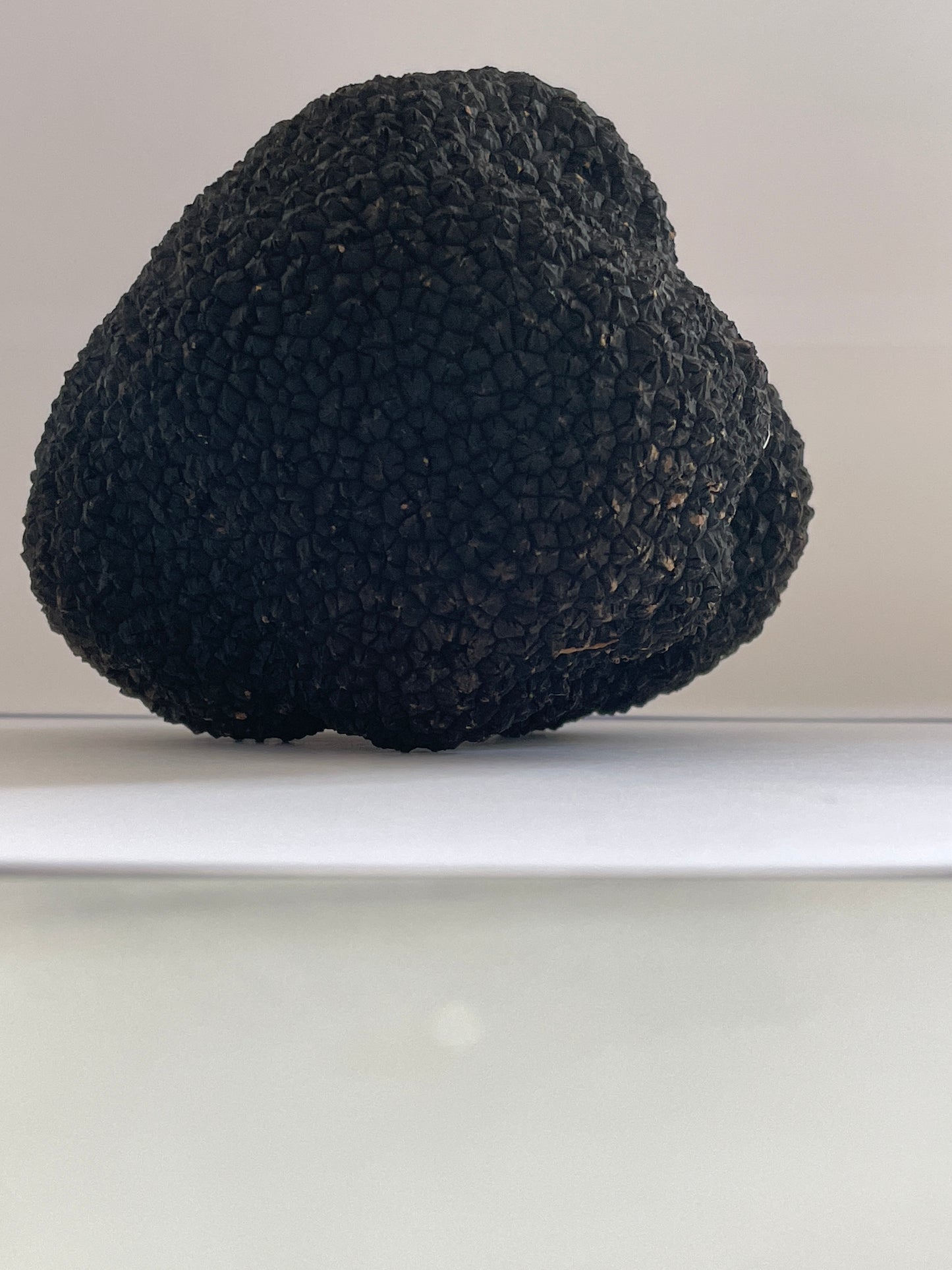 Fresh Irish Autumn Truffles (Tuber Uncinatum)