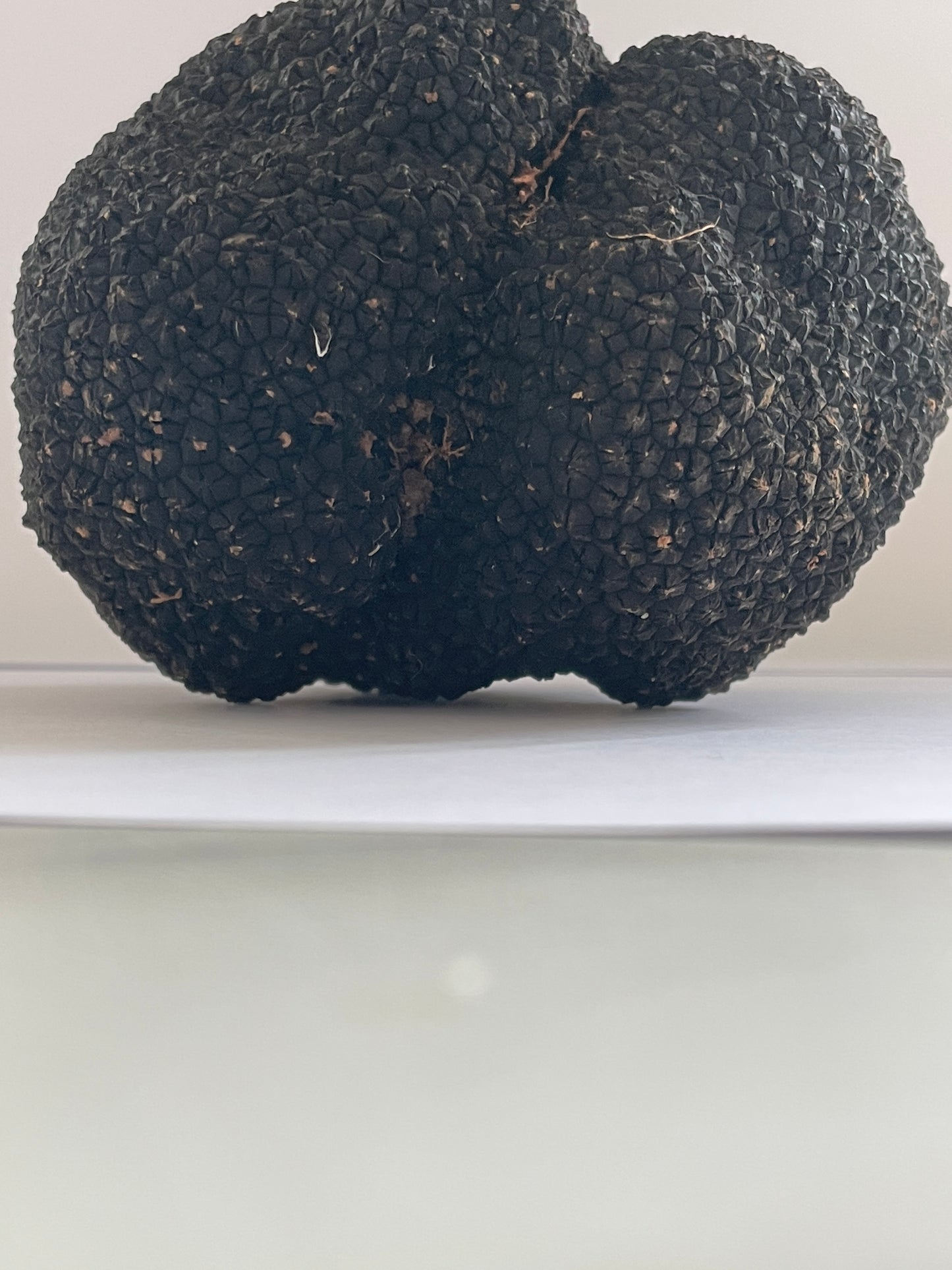 Fresh Irish Autumn Truffles (Tuber Uncinatum)