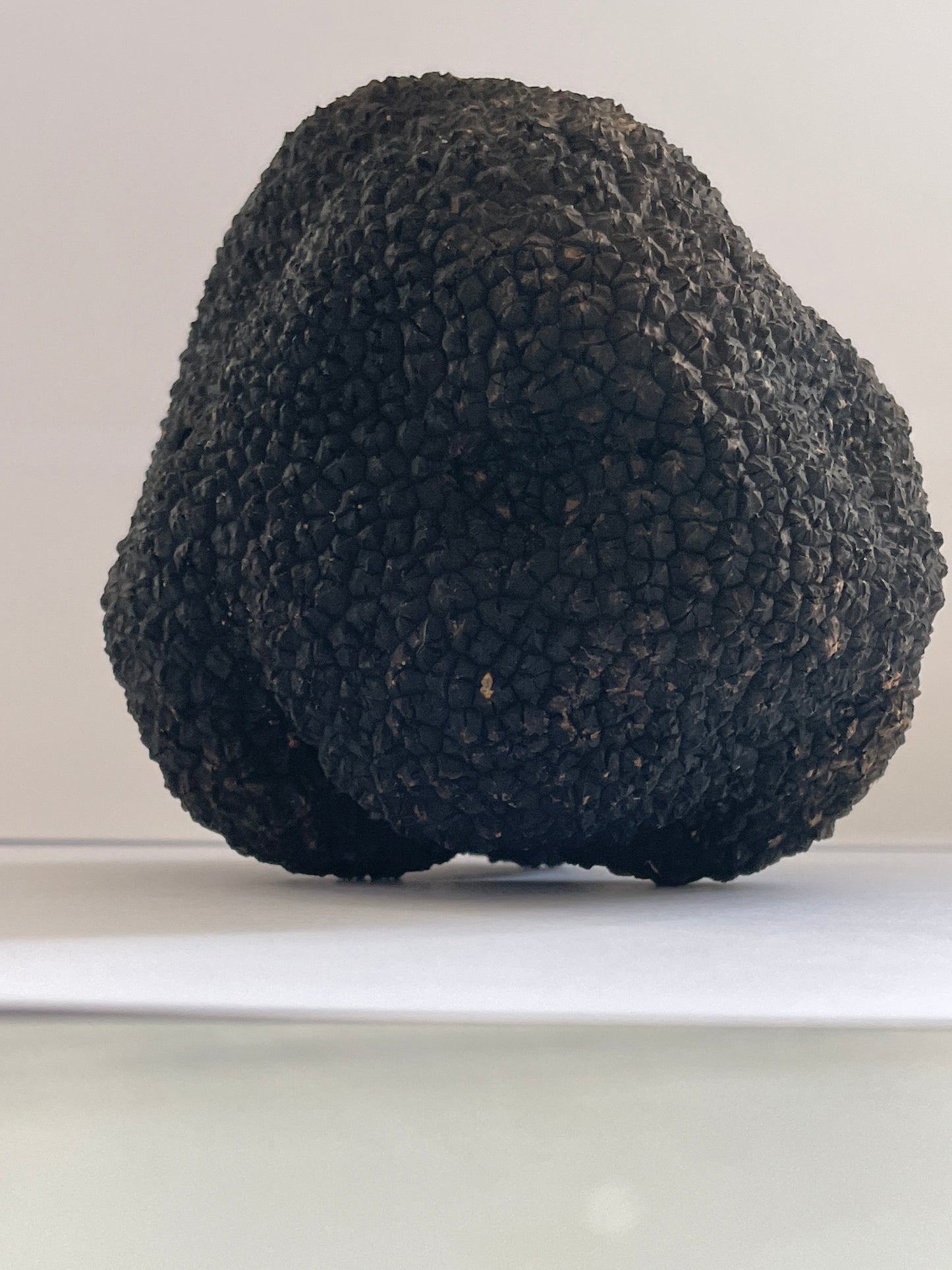 Fresh Irish Autumn Truffles (Tuber Uncinatum)